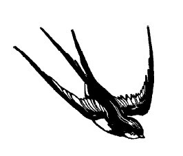 Не жалею, не зову, не плачу… - i_034.jpg