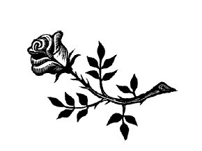 Не жалею, не зову, не плачу… - i_038.jpg