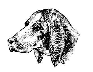 Не жалею, не зову, не плачу… - i_039.jpg