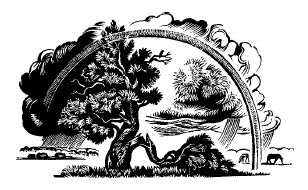 Не жалею, не зову, не плачу… - i_041.jpg