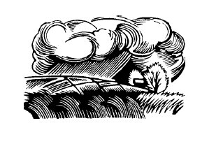 Не жалею, не зову, не плачу… - i_043.jpg