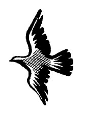 Не жалею, не зову, не плачу… - i_044.jpg