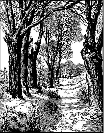 Не жалею, не зову, не плачу… - i_046.jpg