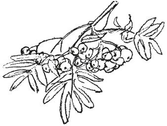 В этом мире я только прохожий… - i_011.jpg