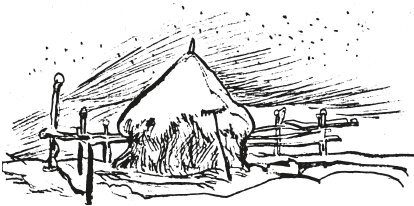 В этом мире я только прохожий… - i_016.jpg