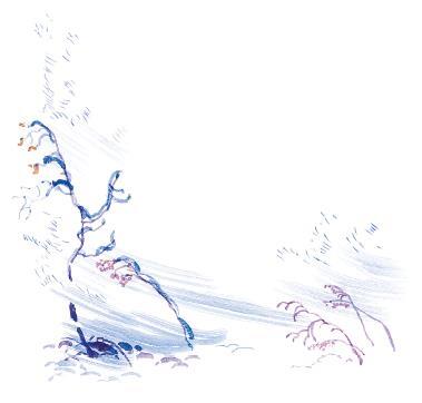 Черёмуха - i_004.jpg