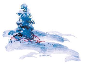 Черёмуха - i_007.jpg