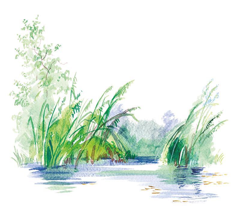 Черёмуха - i_015.jpg