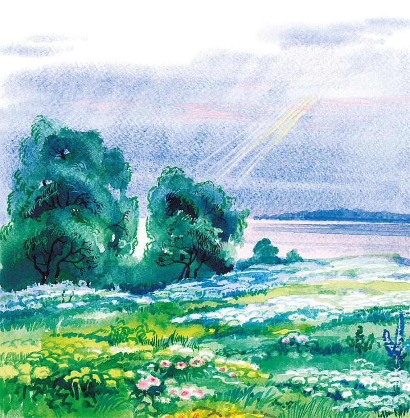 Черёмуха - i_018.jpg