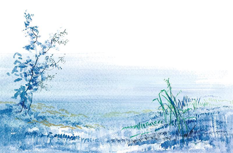 Черёмуха - i_021.jpg