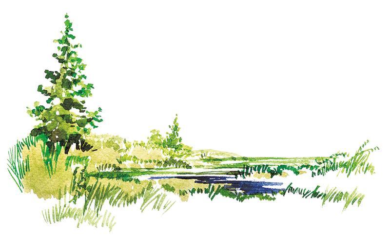 Черёмуха - i_023.jpg