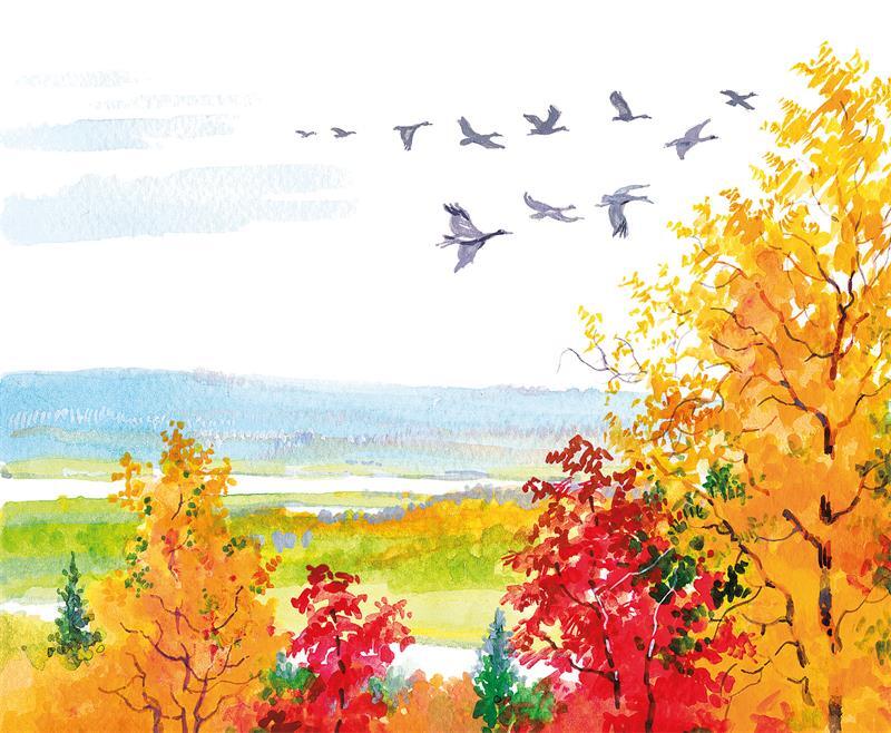 Черёмуха - i_026.jpg