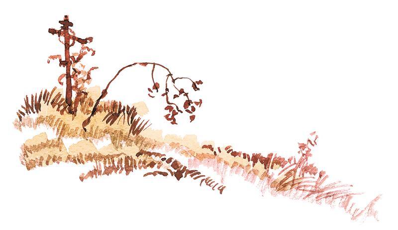 Черёмуха - i_027.jpg