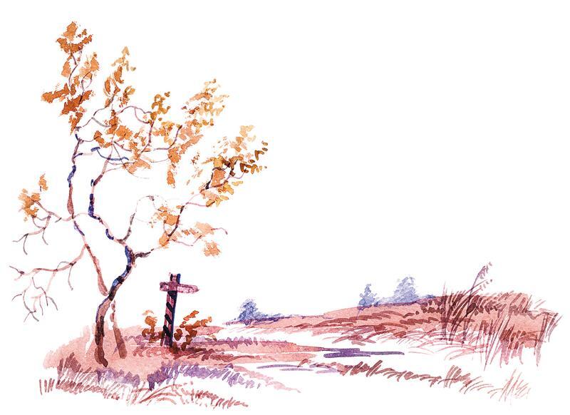 Черёмуха - i_029.jpg