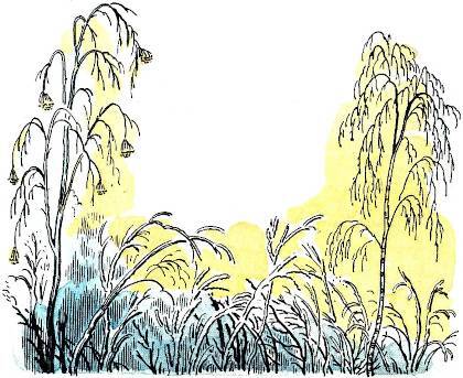 Черёмуха (худ. А. Парамоно) - _002.jpg