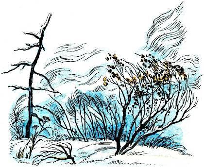 Черёмуха (худ. А. Парамоно) - _008.jpg