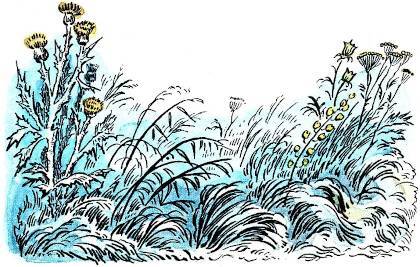 Черёмуха (худ. А. Парамоно) - _010.jpg