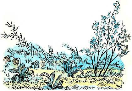 Черёмуха (худ. А. Парамоно) - _014.jpg