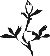 Кармоправ (СИ) - image1.png