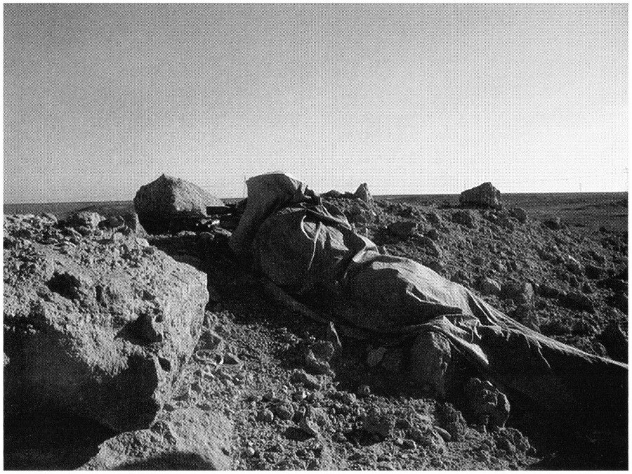 Охотник среди теней (ЛП) - Pfoto4.jpg