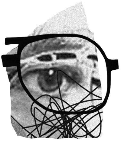 Больные фантазии убийц. Одно из самых подробных исследований психологии маньяков и их извращений - i_001.jpg