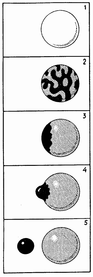 Приключения Мистера Томпкинса - image57.png