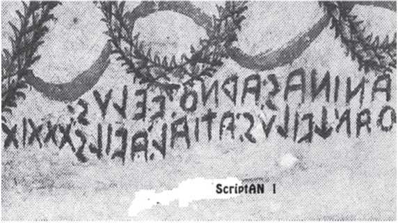 Великая Русь Средиземноморья. Книга III - i_116.jpg