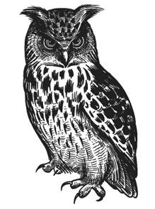 "Фантастика 2025-132". Компиляция. Книги 1-26 (СИ) - i_003.jpg