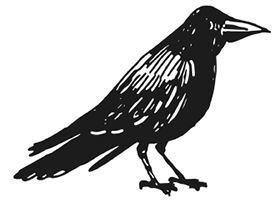 "Фантастика 2025-132". Компиляция. Книги 1-26 (СИ) - i_004.jpg