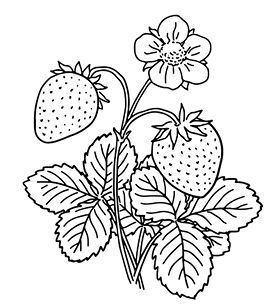 "Фантастика 2025-132". Компиляция. Книги 1-26 (СИ) - i_014.jpg