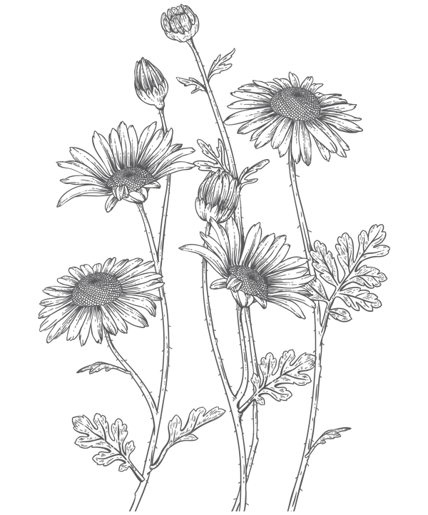 Папа, я против этого брака! Том 1 - i_007.png