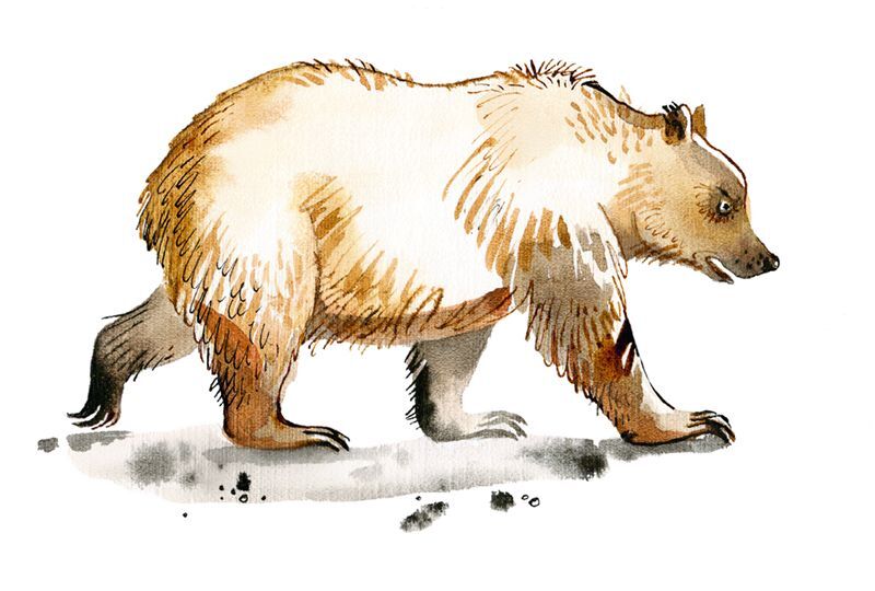 Не кормить и не дразнить! - i_007.jpg