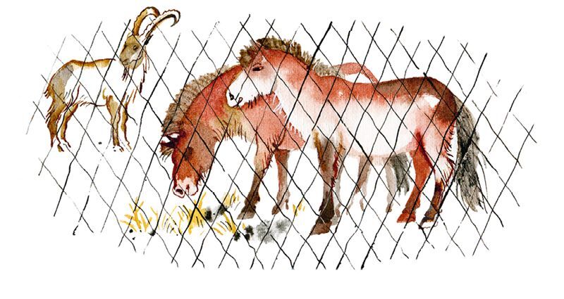 Не кормить и не дразнить! - i_009.jpg