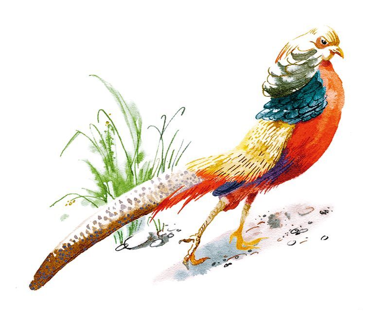 Не кормить и не дразнить! - i_010.jpg