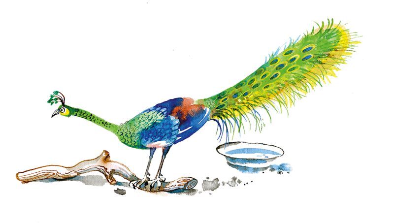 Не кормить и не дразнить! - i_012.jpg