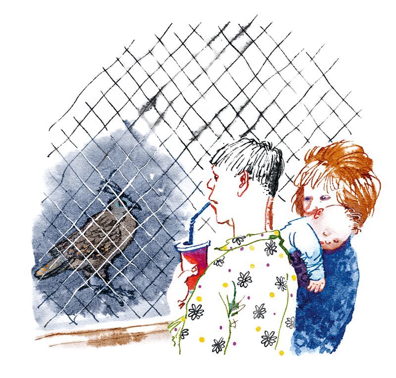 Не кормить и не дразнить! - i_015.jpg