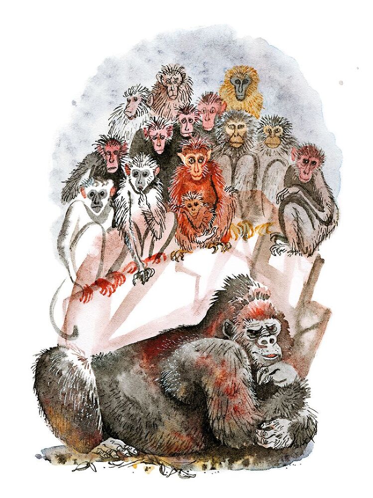 Не кормить и не дразнить! - i_018.jpg