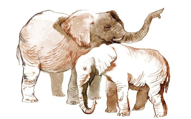 Не кормить и не дразнить! - i_019.jpg