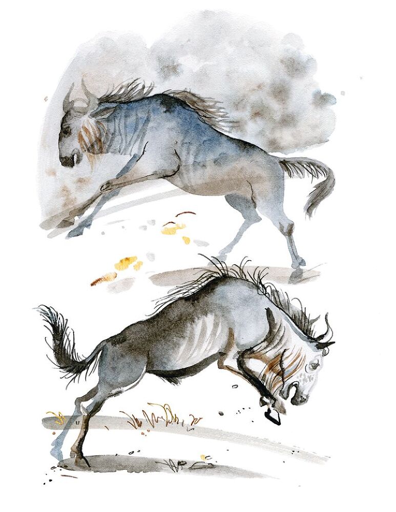 Не кормить и не дразнить! - i_024.jpg