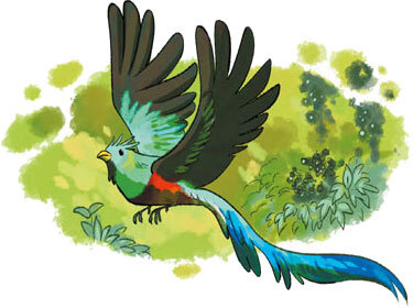 Охотники за мифами. Сокровище джунглей - i_001.jpg