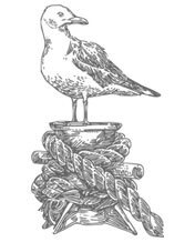 Ведовской дар. 1. Ведьма правды - i_008.jpg