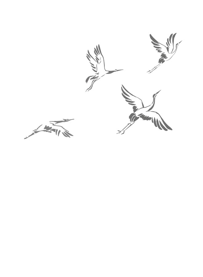 Луна освещает путь в тысячу ли. Том 1 - i_002.jpg