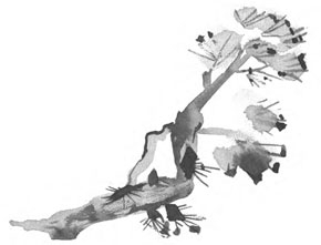 Луна освещает путь в тысячу ли. Том 1 - i_006.jpg