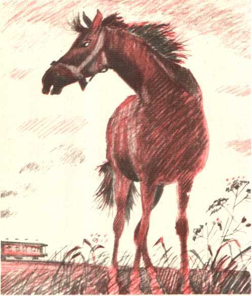 Про других и про себя - image26.jpg