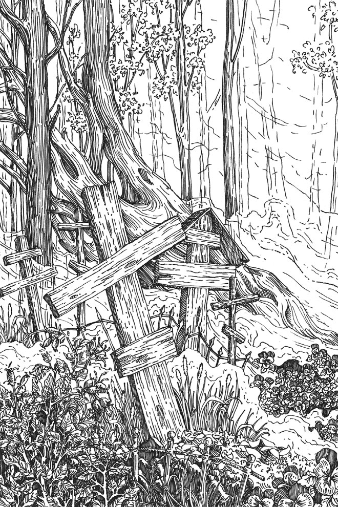 Шепот в тишине. Мистические истории - i_005.jpg