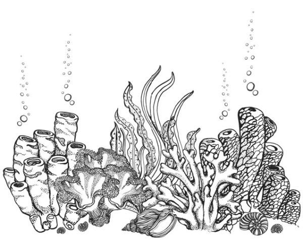 Песнь бездны - i_006.jpg