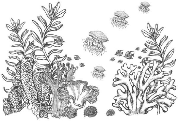 Песнь бездны - i_014.jpg