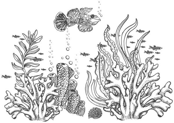 Песнь бездны - i_016.jpg