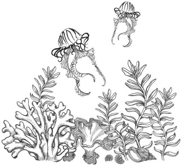 Песнь бездны - i_020.jpg