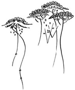 Канашибари. Пока не погаснет последний фонарь. Том 3 - i_006.jpg